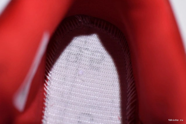 Rep TB Day Jordan Air 4 AV3914-600 Singles 0724